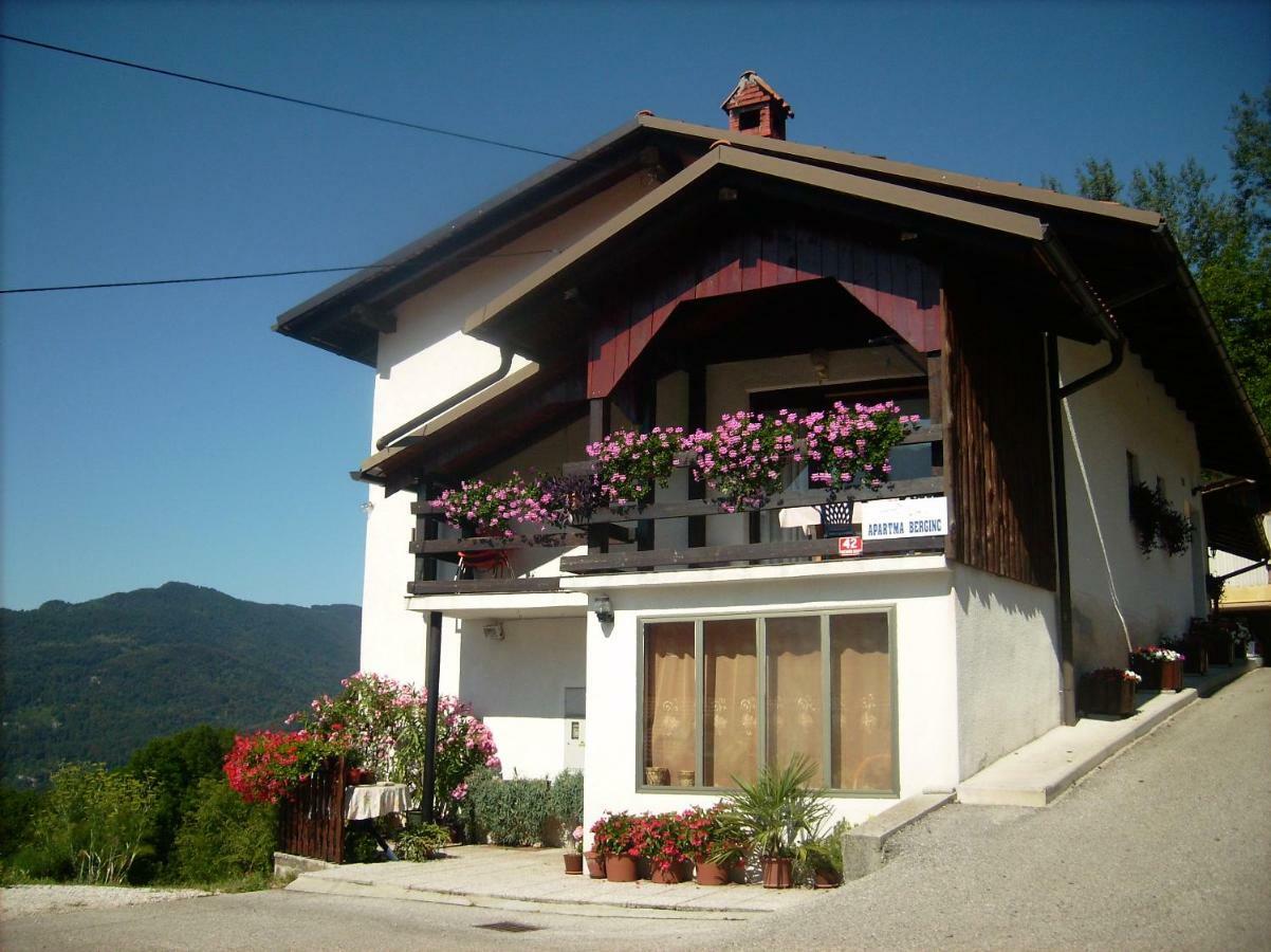 Apartmaji Berginc Kobarid Exterior photo